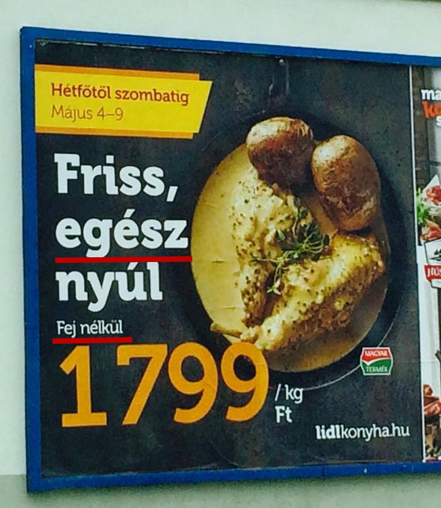egeszfej.jpg