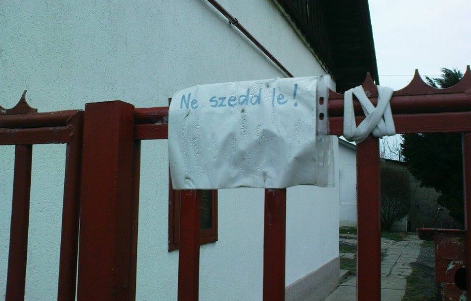 neszeddlejo.jpg