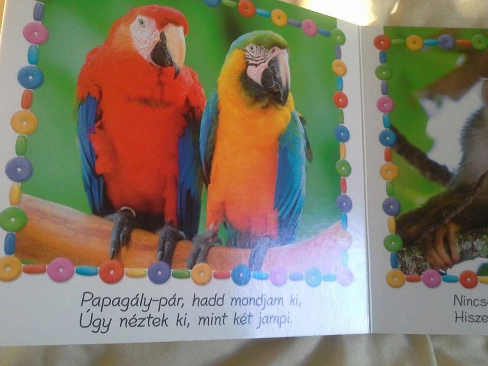 papagaly.jpg