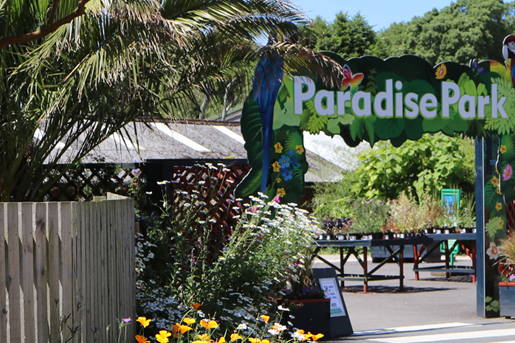 paradise-park-2.jpg