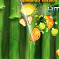 Online Fruit Ninja