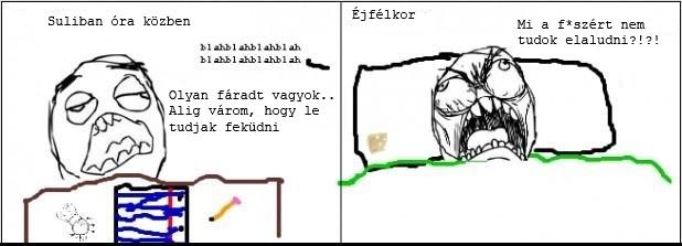 mem8.jpg
