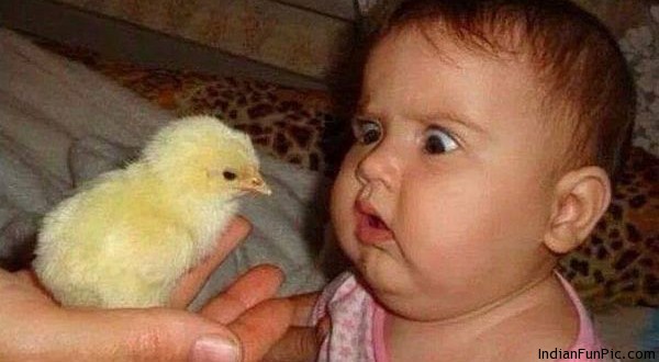 cute-kid-afraid-to-see-chicken-funny-image.jpg