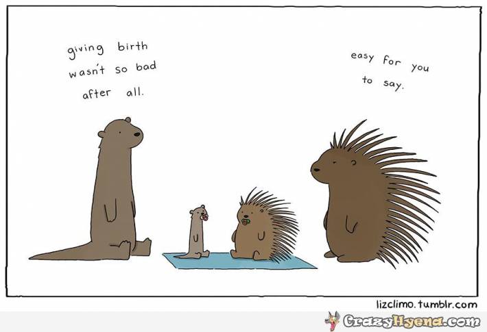 funny-cartoon-otter-hedgeghog-giving-birth.jpg