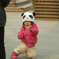Beijing Zoo - Pillanatkép