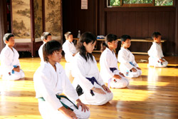 image_okinawa_karate.jpg