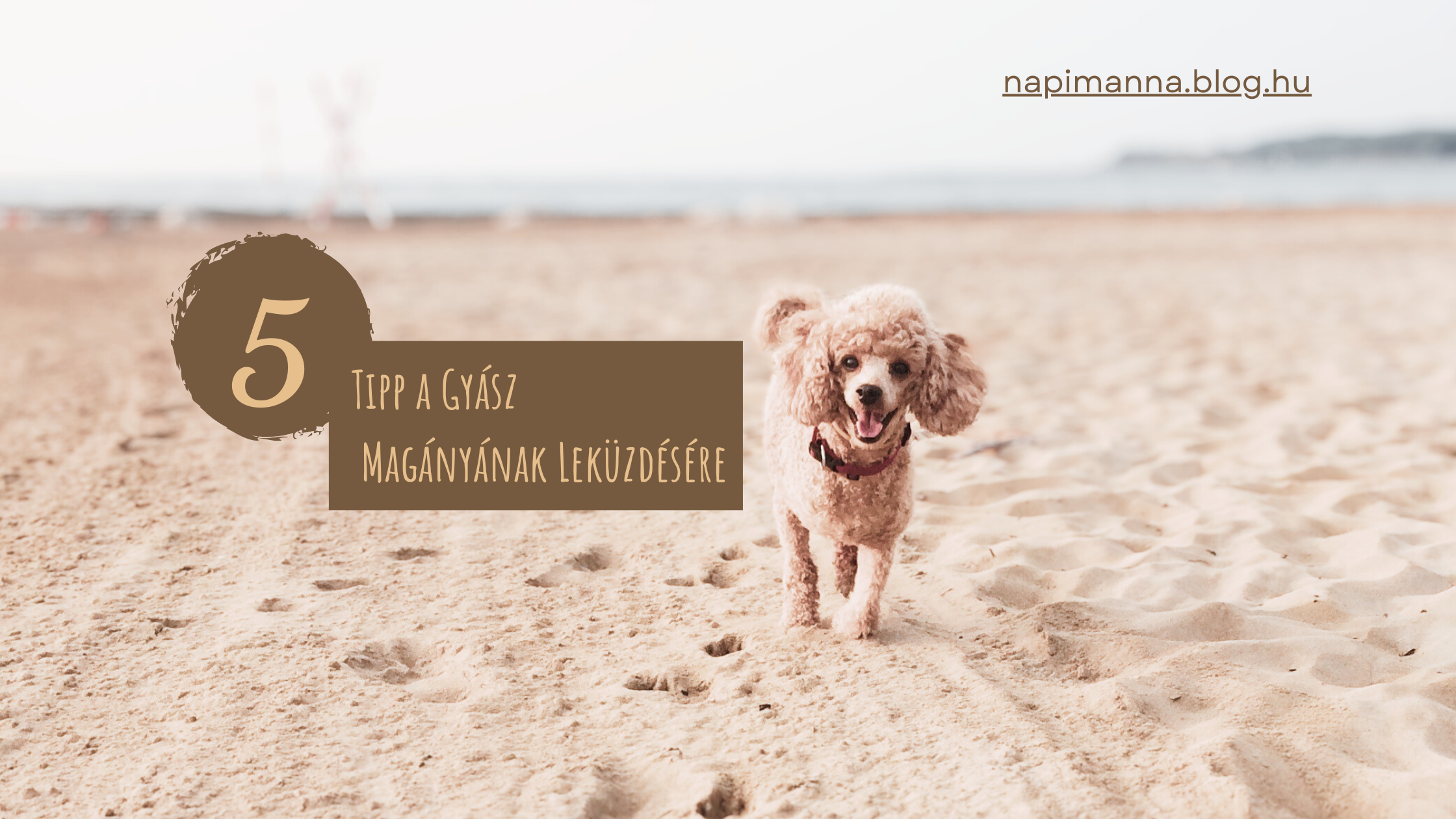 5 Tipp a Gyász Magányának Leküzdésére