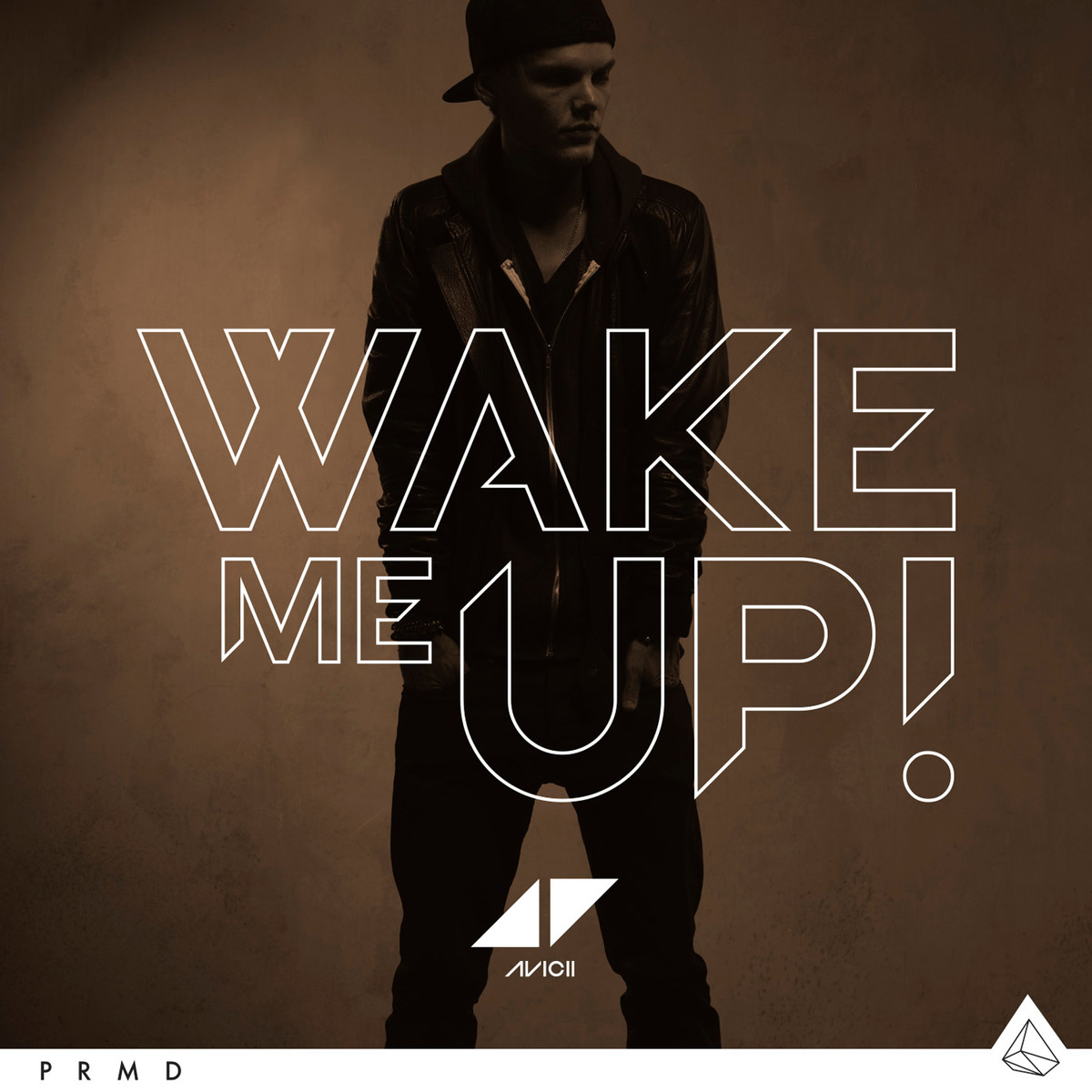 Avicii_Wake_Me_Up_Official_Single_Cover.png