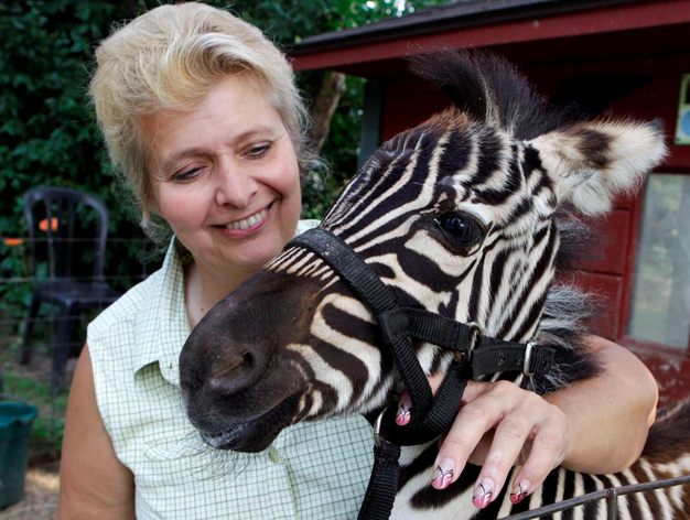woman-and-pet-zebra.png