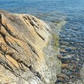 Életedet a gondolataid irányítják