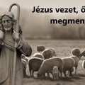 Hogyan bánik Jézus a juhaival?