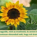 Elmondhatod Istennek, hogy mi történik benned