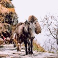 Jézus veled együtt akarja viselni a terheidet