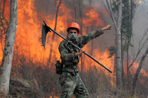 1-Incendios-consumen-200-hectareas-de-bosques_imagen_full.jpg