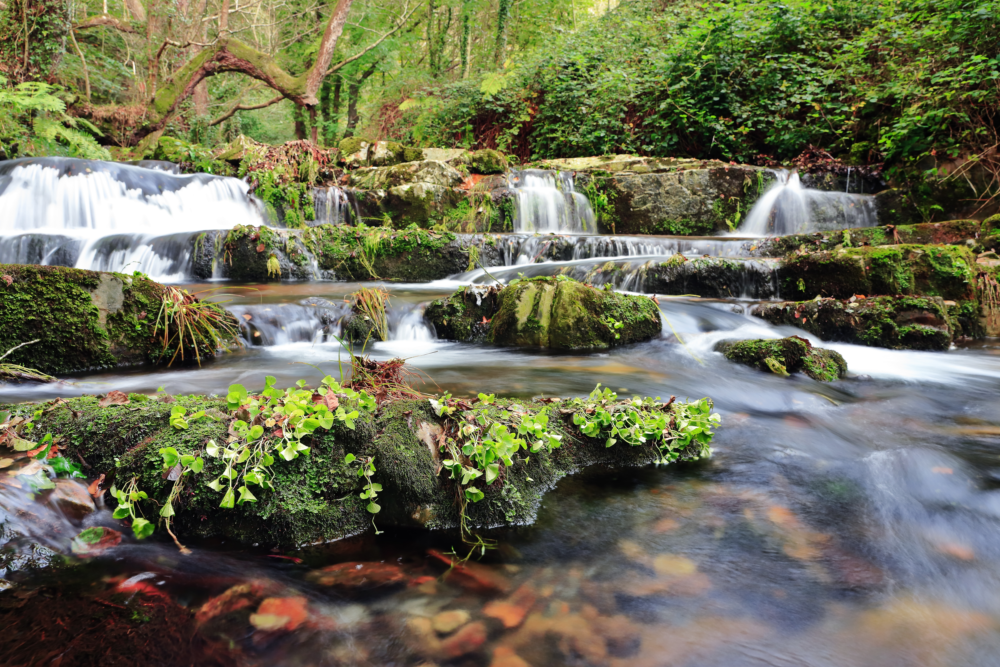 beautiful-view-small-waterfall-big-stones-covered-with-plants-jungle.png