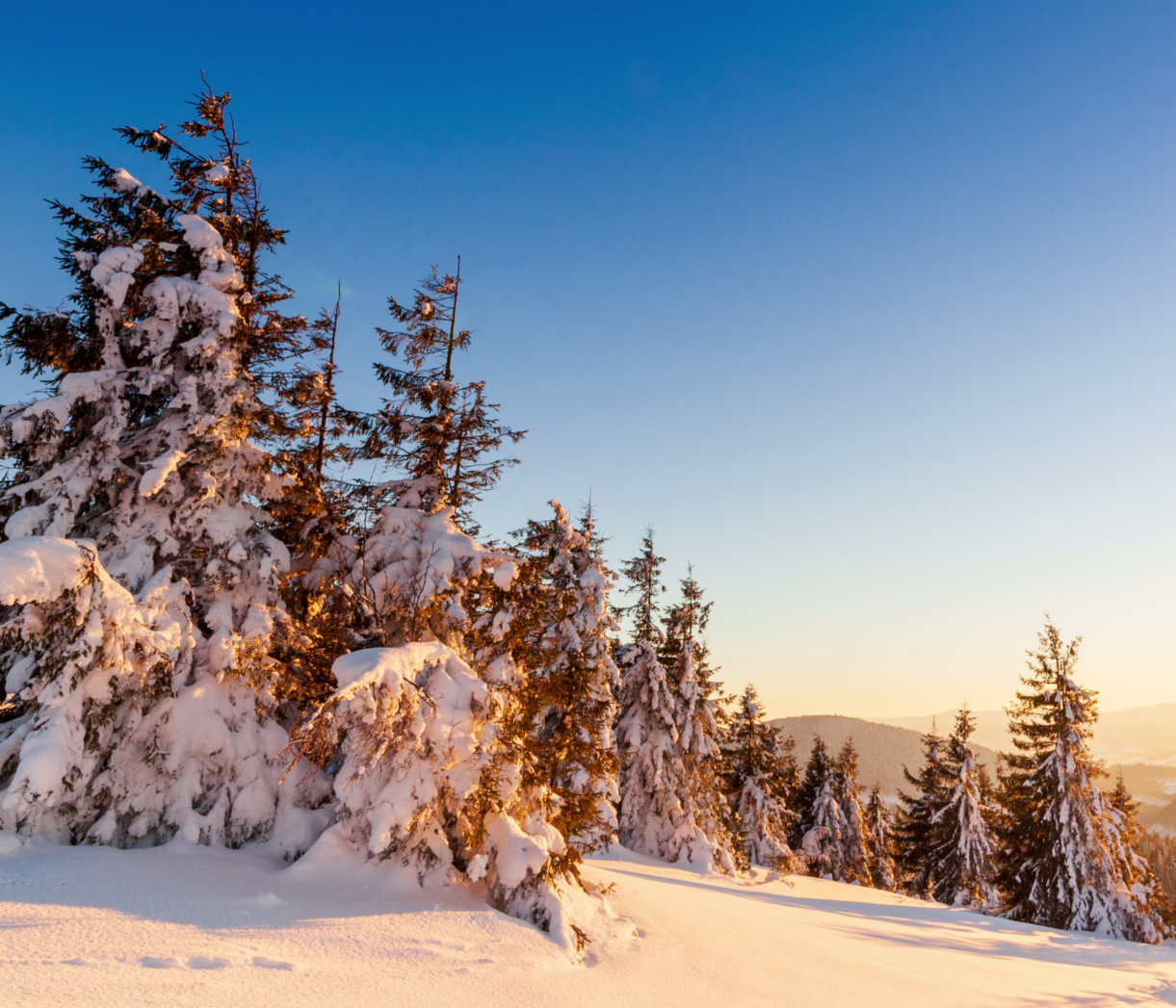 beautiful-winter-landscape-mountains-rising-sun-breaks-through-snow-covered-branches-fir-tree-ground-trees-covered-with-thick-layer-fresh-fluffy-snow.jpg