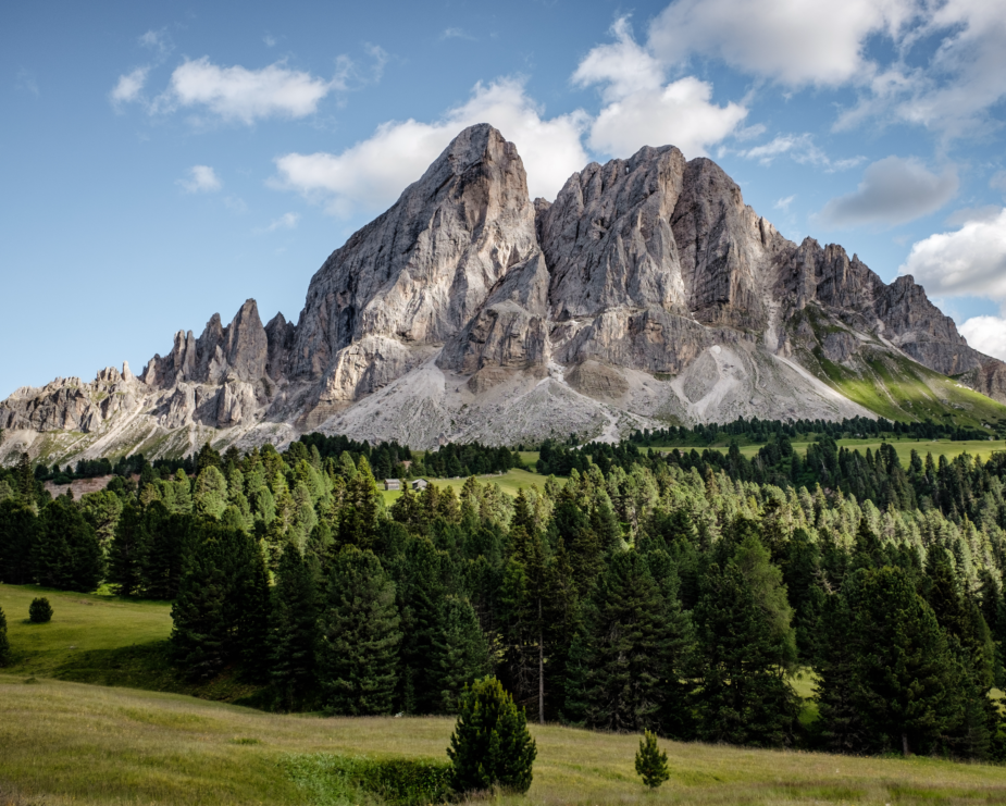 breathtaking-landscape-shot-beautiful-white-mountain-with-evergreen-tree-forest-its-base.png