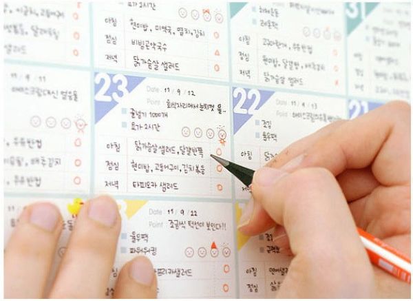 korea-design-d-day-plan-100-days-countdown-schedule-plan-to-do-list-for-students-stationery.jpg
