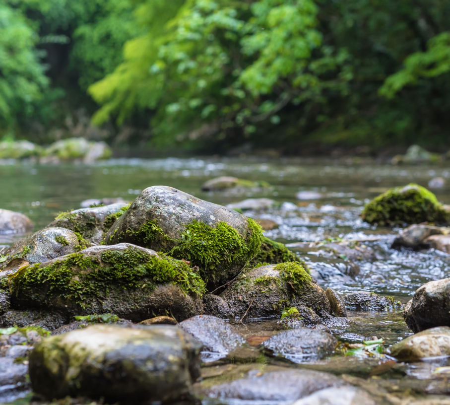 mountain-river-flowing_s.png