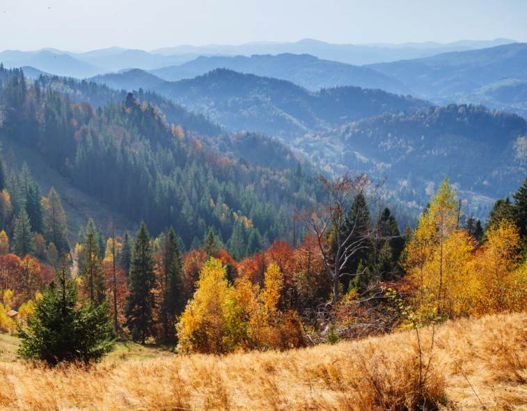 scenic-autumn-landscape_s.jpg