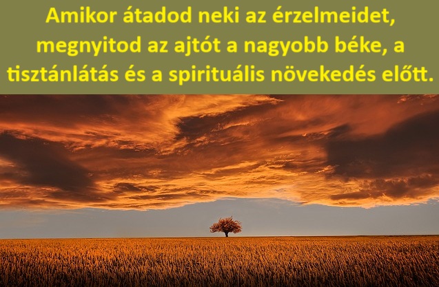tree-736875_640.jpg