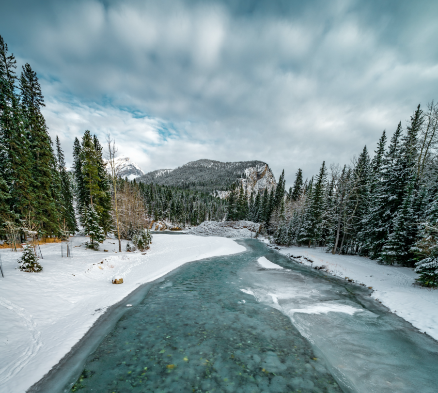 vertical-shot-frozen-turquoise-river-area-covered-with-snow-forest.png