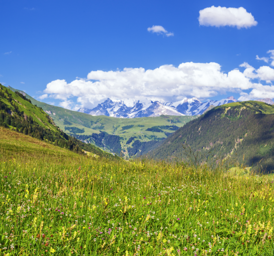 vertical-view-french-alps-summer.png