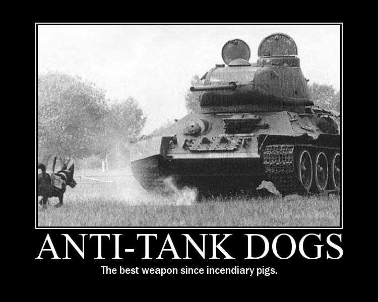 anti-tank-dogs.jpg