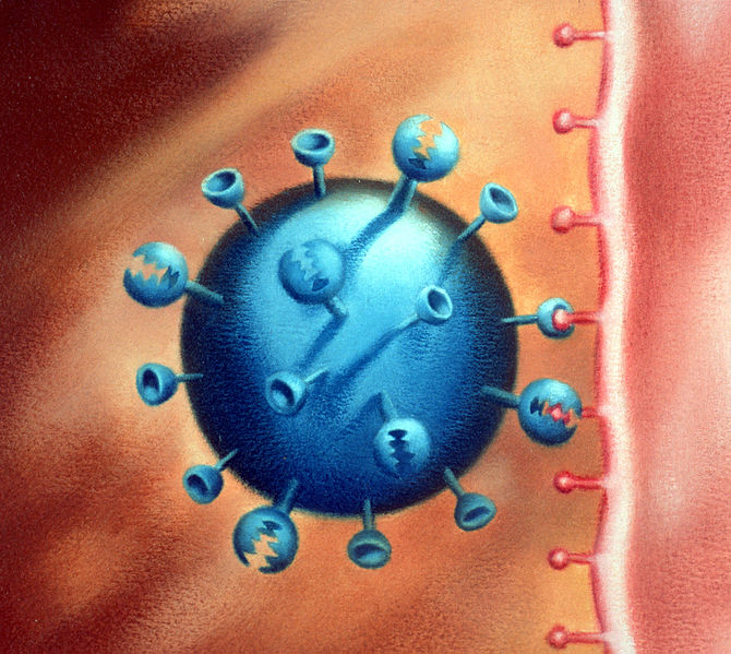 csiro_scienceimage_354_influenza_protein_attaching_to_cell_membrane.jpg