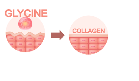glycine-to-collagen-hor_1.png