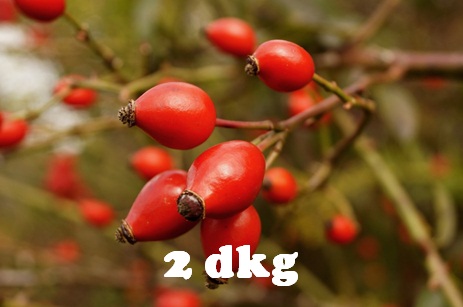 rosehips-974577_960_720.jpg