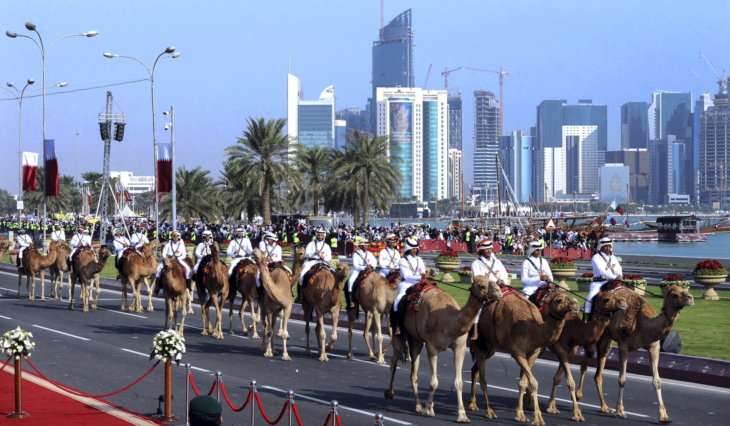 qatar_camels_enl-52fd014fd690ea5a678bb7b82394db760235fcb9.jpg