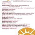 Egészségnap 2025 május