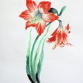 enyém szép rajzok avagy baka flowers >: (