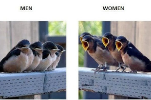 Különbség férfi és nő között