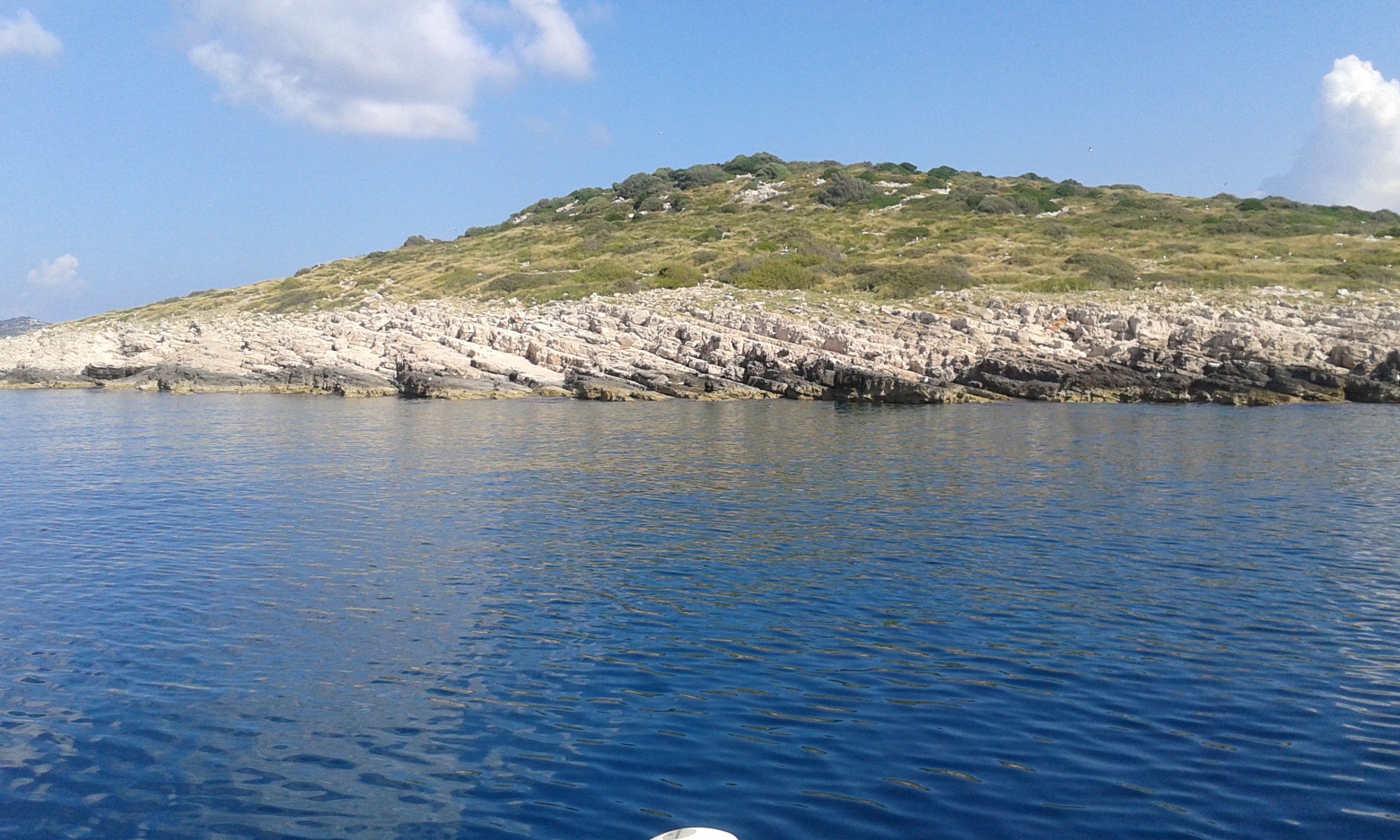 20150616_094924.jpg