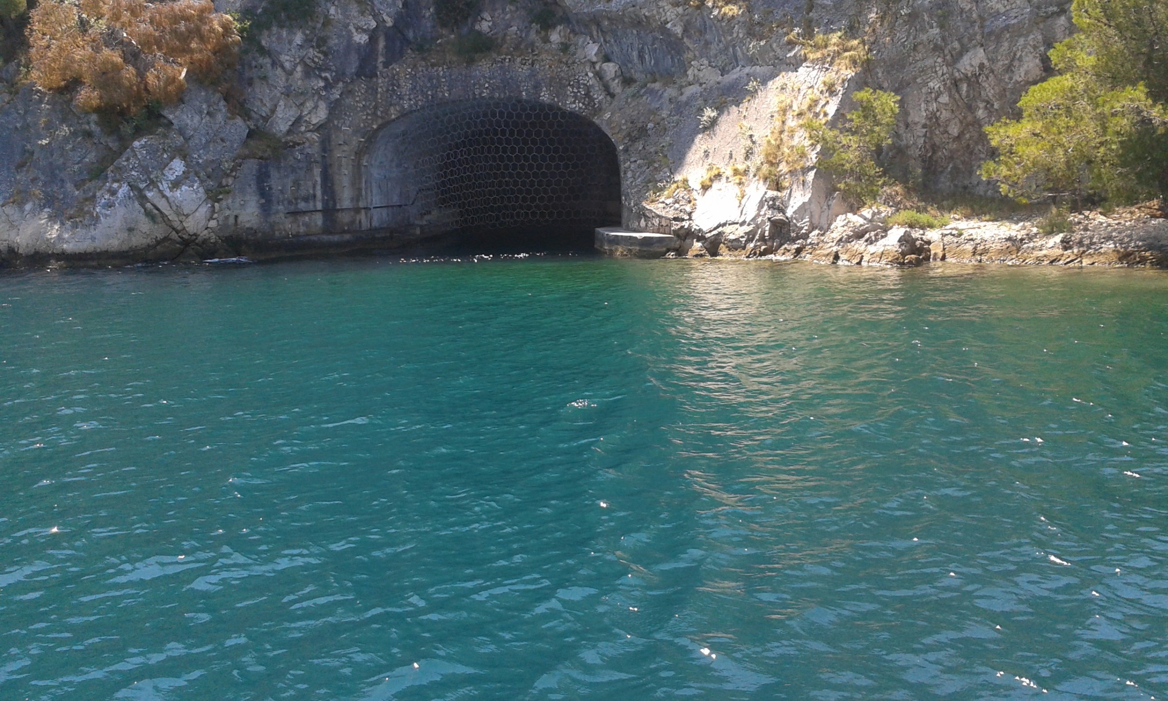 20150616_120305.jpg