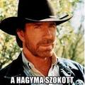 Amikor hagymát vágok
