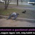 Lehoztam a gazdit!