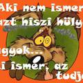 aki ismer az tudja