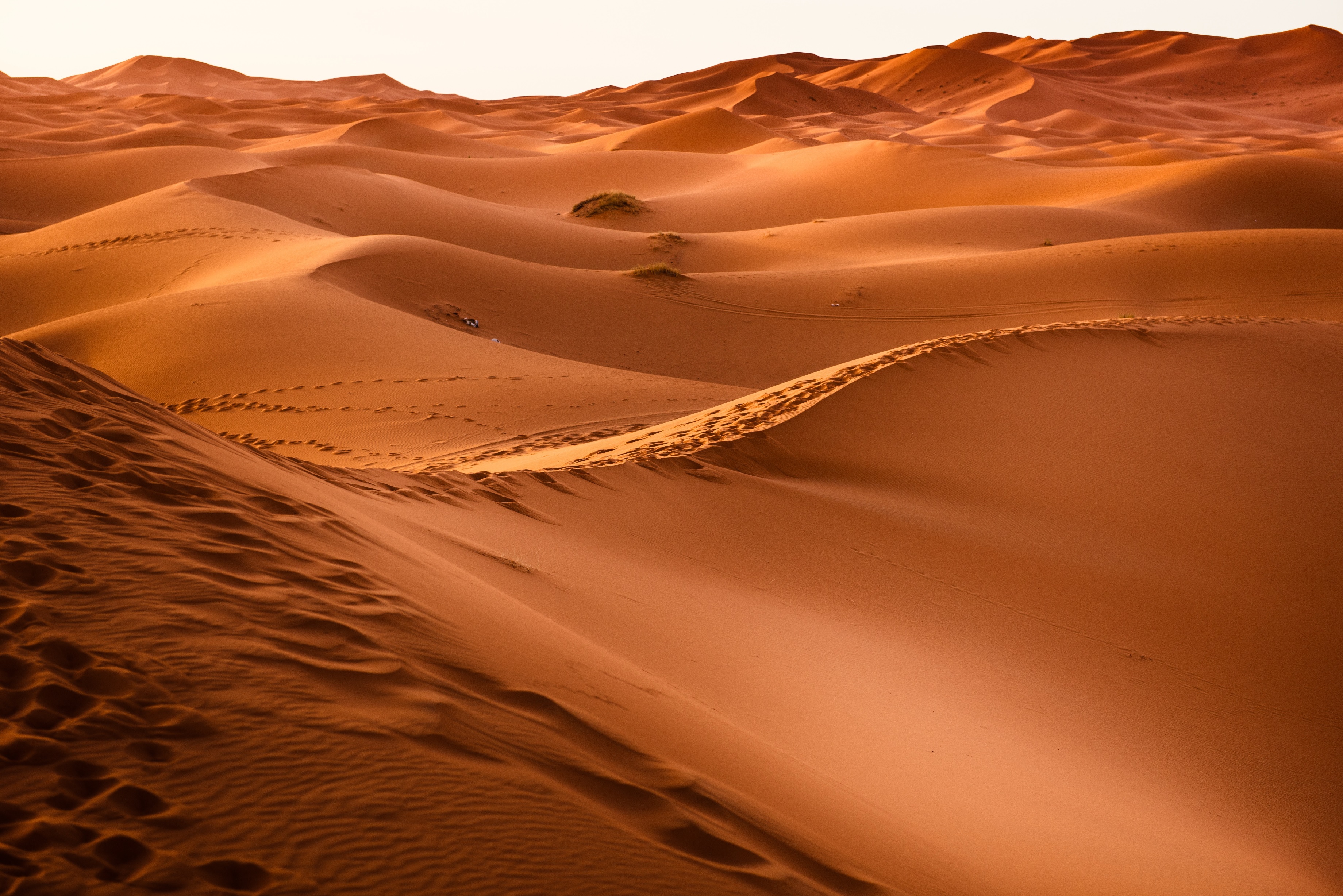 dawn-desert-dry-273935.jpg