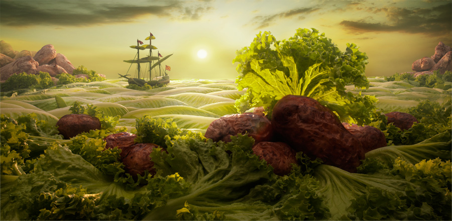 Lettuce-Seascape2.jpg