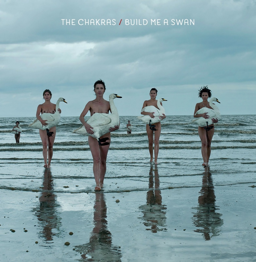 The Chakras, «Build me a swan», 2011.