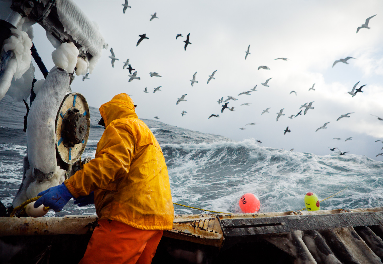 Corey Arnold - Fish Work: The Bering Sea