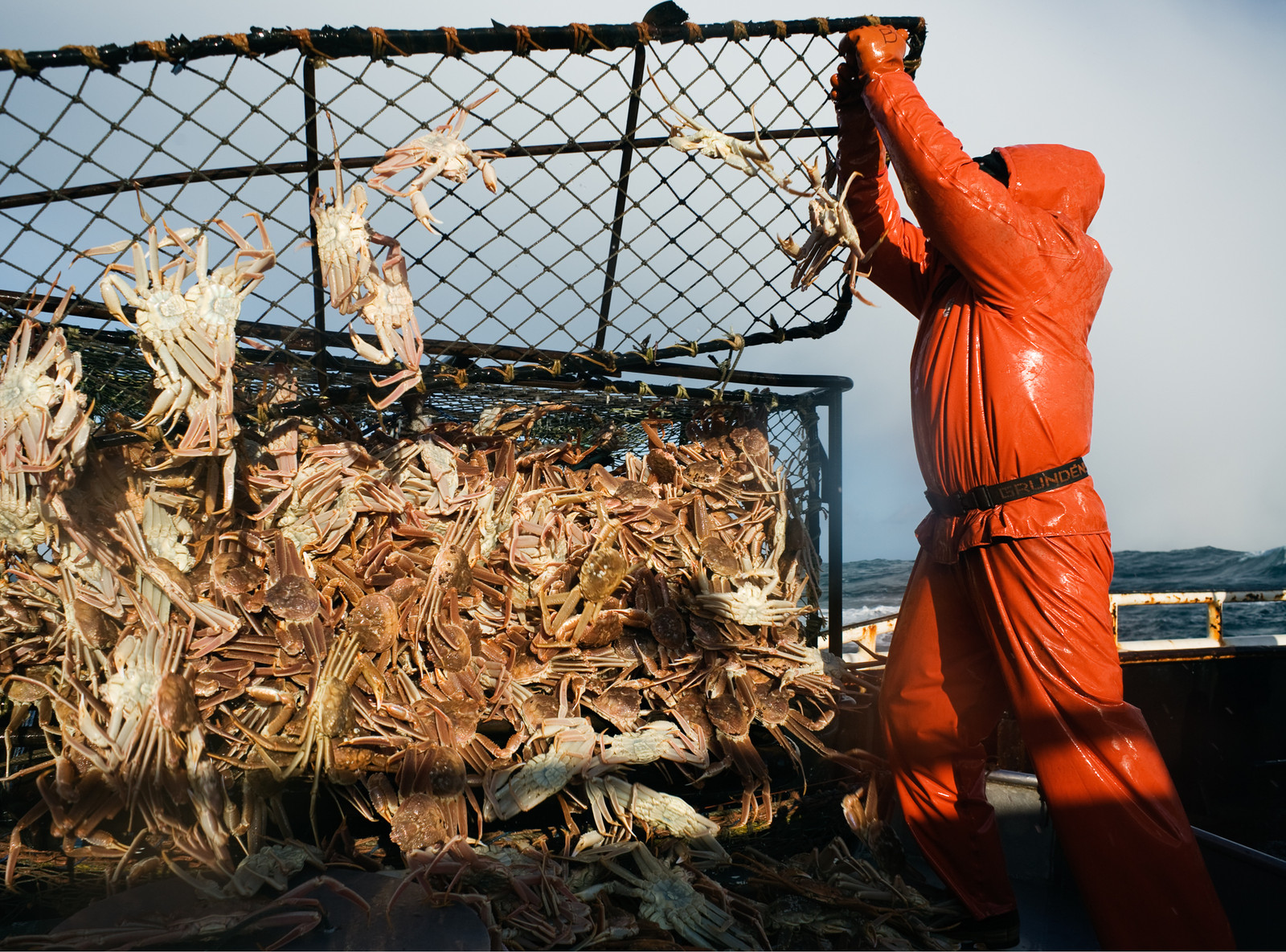 Corey Arnold - Fish Work: The Bering Sea