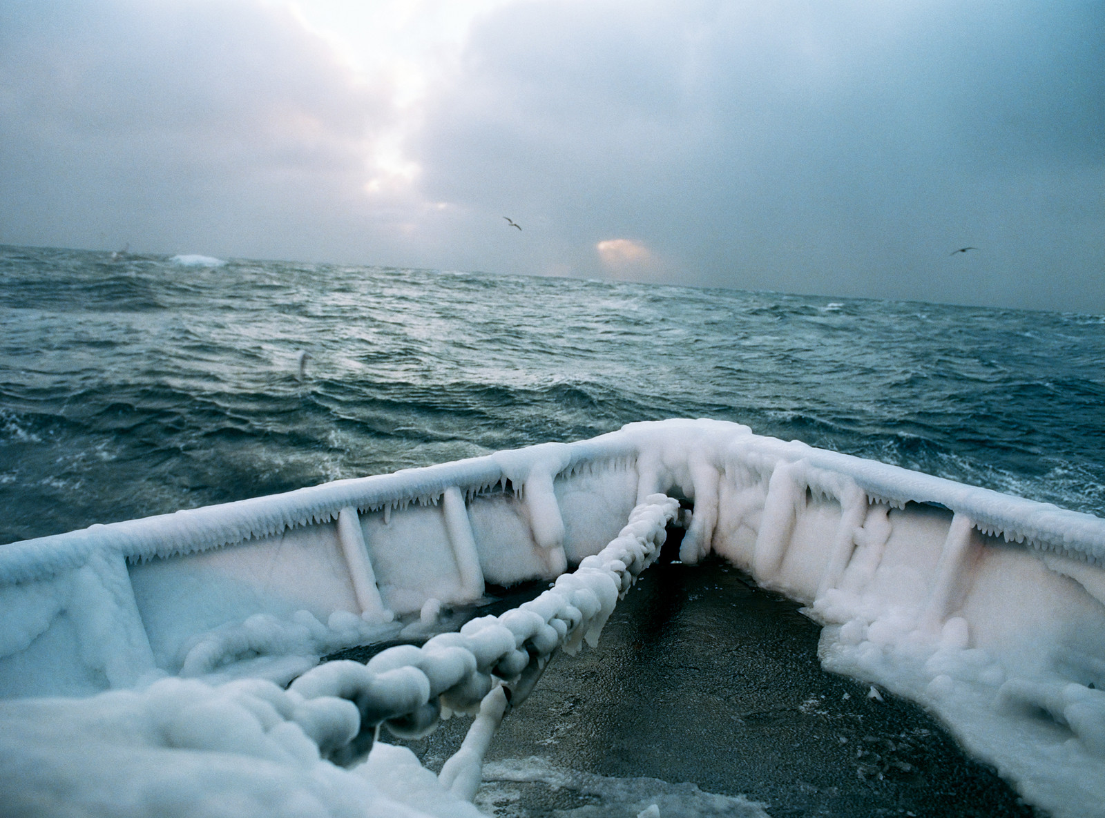 Corey Arnold - Fish Work: The Bering Sea