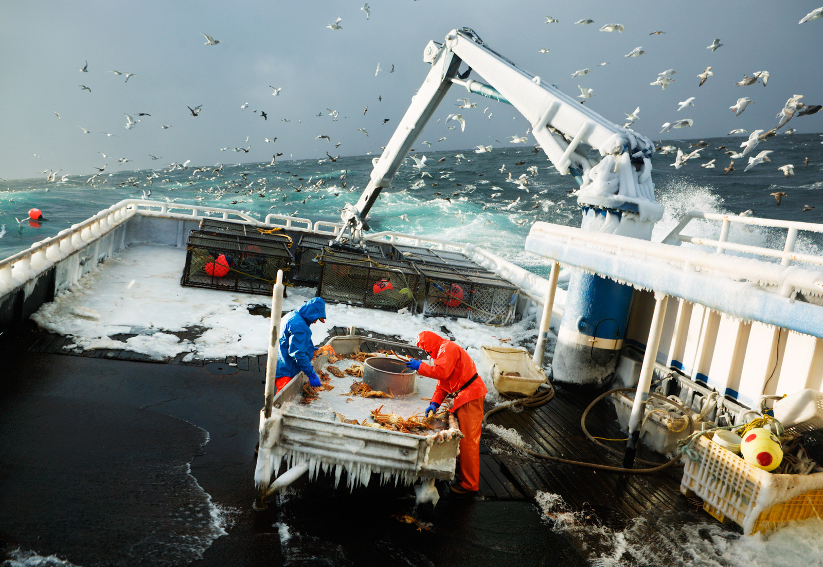 Corey Arnold - Fish Work: The Bering Sea