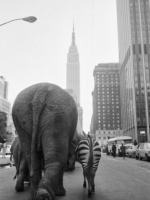 Otto Bettmann, 3ik utca, Manhattan, New York, 1968<br />