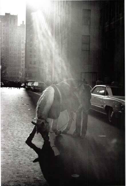 Louis Stettner, Rodeo Cowboy, Rockefeller Center, New York 1972