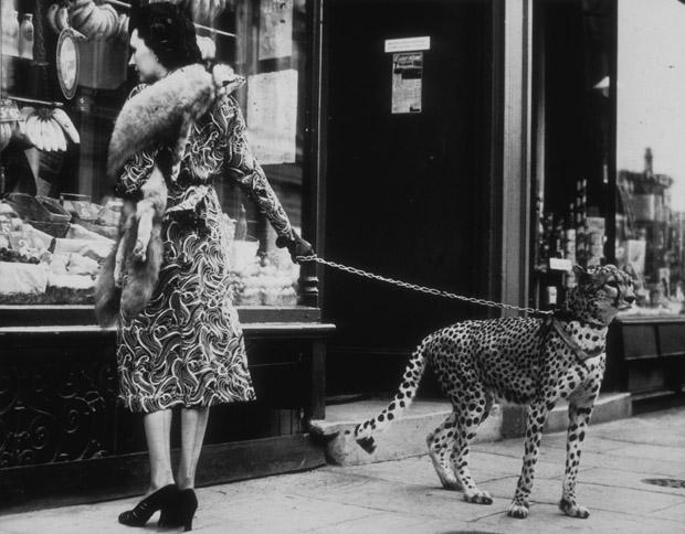 Phyllis Gordon és a leopárd&lt;br /&gt;